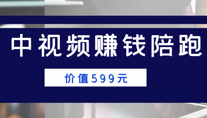 中视频赚钱陪跑，卖中视频账户赚钱收益陪跑项目（价值599元）-买得值资源库
