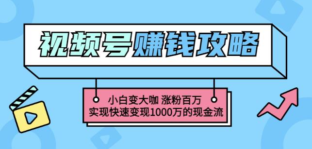 玩转微信视频号赚钱：小白变大咖涨粉百万实现快速变现1000万的现金流-买得值资源库