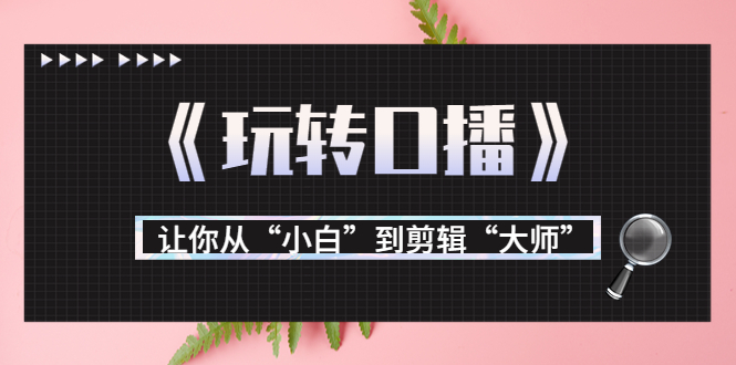 月营业额700万+大佬教您《玩转口播》让你从“小白”到剪辑“大师”-买得值资源库