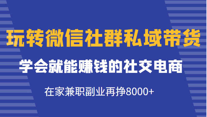 玩转微信社群私域带货，学会就能赚钱的社交电商，在家兼职副业再挣8000+-买得值资源库