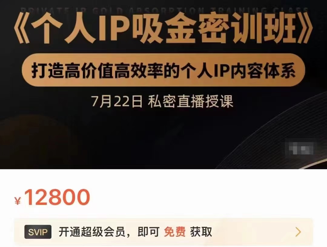 个人IP吸金密训班，打造高价值高效率的个人IP内容体系（价值12800元）-买得值资源库