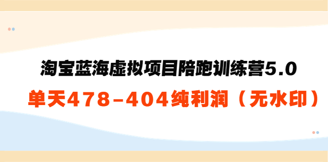 淘宝蓝海虚拟项目陪跑训练营5.0：单天478纯利润-买得值资源库