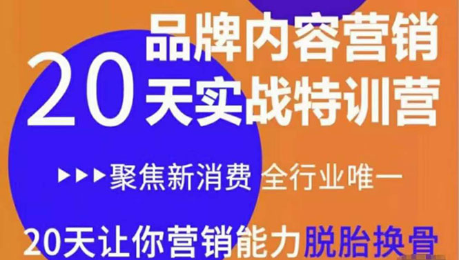 《内容营销实操特训营》20天让你营销能力脱胎换骨（价值3999）-买得值资源库
