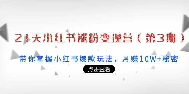 21天小红书涨粉变现营（第3期）：带你掌握小红书爆款玩法，月赚10W+秘密-买得值资源库
