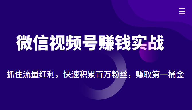 微信视频号赚钱实战：抓住流量红利，快速积累百万粉丝，赚取你的第一桶金-买得值资源库