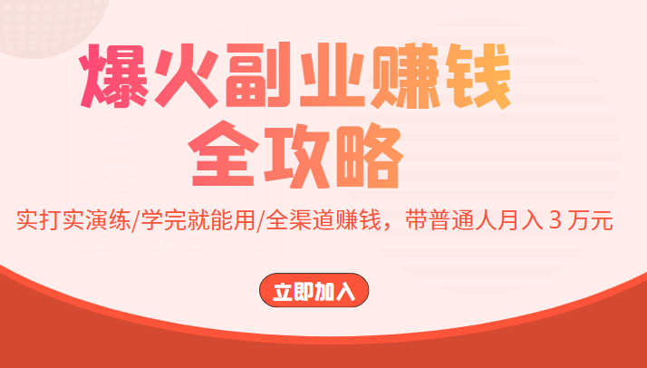 爆火副业赚钱全攻略：实打实演练/学完就能用/全渠道赚钱，带普通人月入３万元-买得值资源库