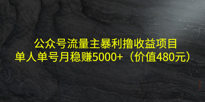 公众号流量主暴利撸收益项目，单人单号月稳赚5000+（价值480元）-买得值资源库