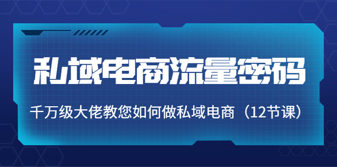 私域电商流量密码：千万级大佬教您如何做私域电商（12节课）-买得值资源库