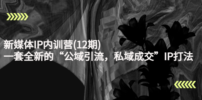 新媒体IP内训营(12期)，一套全新的“公域引流，私域成交”IP打法，直接带走-买得值资源库