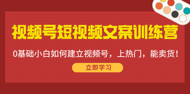 视频号短视频文案训练营：0基础小白如何建立视频号，上热门，能卖货！-买得值资源库