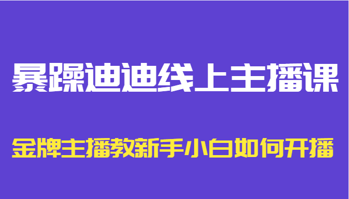 暴躁迪迪线上主播课，金牌主播教新手小白如何开播-买得值资源库