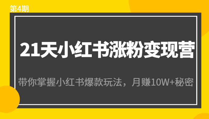 21天小红书涨粉变现营（第4期）：带你掌握小红书爆款玩法，月赚10W+秘密-买得值资源库