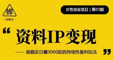 资料IP变现，能稳定日赚3000起的持续性盈利玩法-买得值资源库