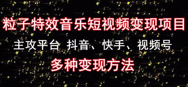 黄岛主《粒子特效音乐短视频变现项目》主攻平台抖音、快手、视频号多种变现方法-买得值资源库
