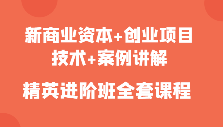 新商业资本+创业项目，技术+案例讲解，精英进阶班全套课程-买得值资源库