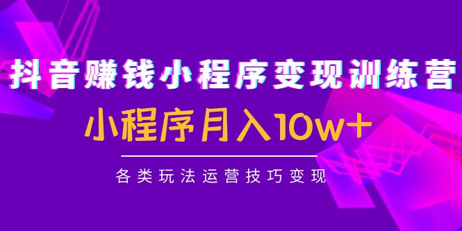 抖音赚钱小程序变现训练营：小程序月入10w+各类玩法运营技巧变现-买得值资源库