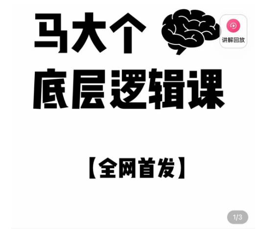 马大个·底层逻辑课，51节底层逻辑智慧课-价值1980元-买得值资源库