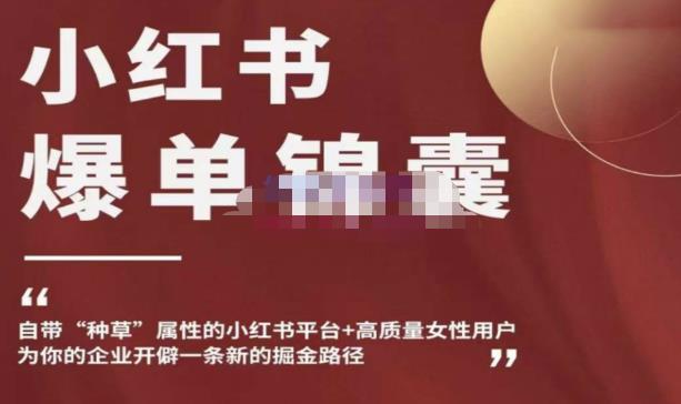 小红书爆单锦囊，自带种草属性+高质量女性用户，为你的企业开辟一条新的掘金路径-买得值资源库