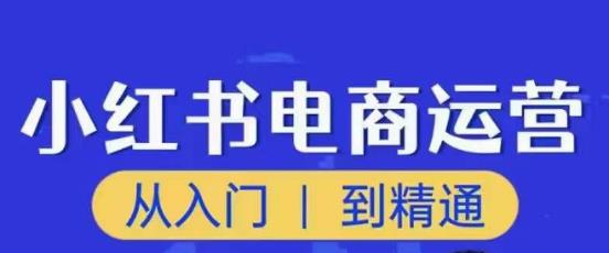 顽石小红书电商高阶运营课程，从入门到精通，玩法流程持续更新-买得值资源库
