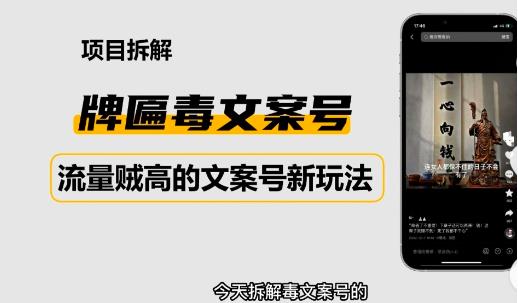 2023抖音快手毒文案新玩法，牌匾文案号，起号快易变现-买得值资源库
