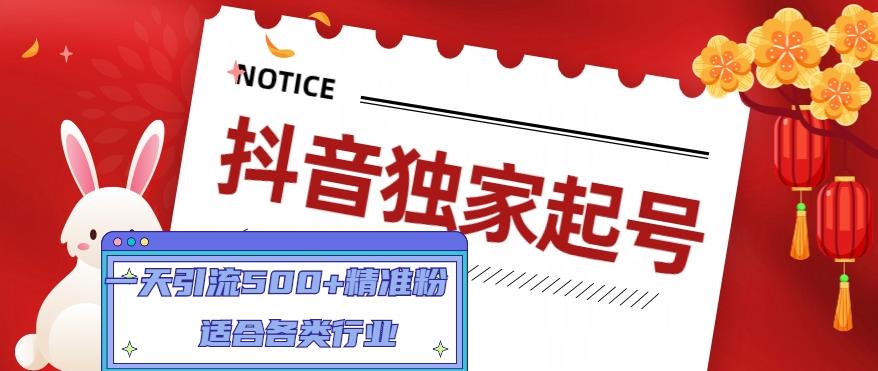 抖音独家起号，一天引流500+精准粉，适合各类行业（9节视频课）-买得值资源库