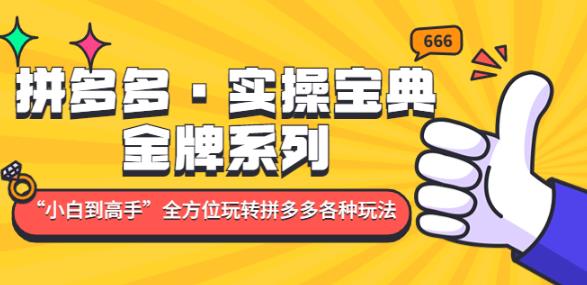 拼多多·实操宝典：金牌系列“小白到高手”带你全方位玩转拼多多各种玩法-买得值资源库