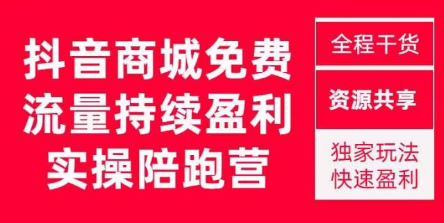 抖音商城搜索持续盈利陪跑成长营，抖音商城搜索从0-1、从1到10的全面解决方案-买得值资源库