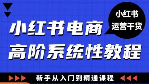 小红书电商高阶系统教程，新手从入门到精通系统课-买得值资源库