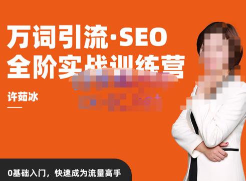 许茹冰·万词引流-SEO全阶实战训练营，0基础入门，快速成为流量高手-买得值资源库