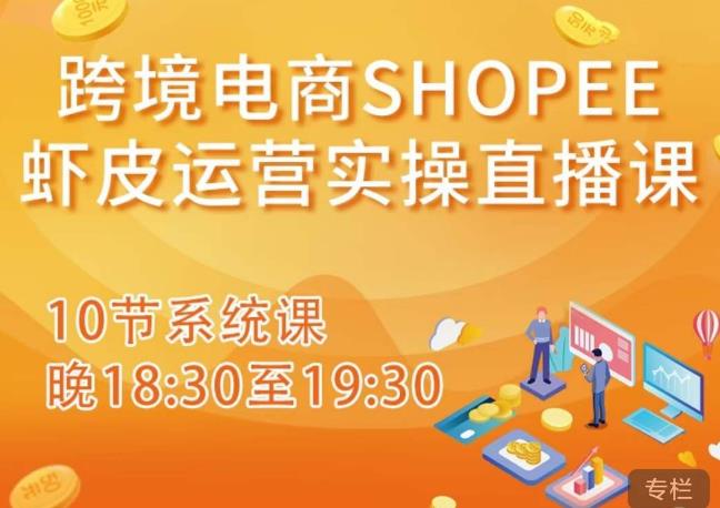 跨境电商Shopee虾皮运营实操直播课，从零开始学，入门到精通（10节系统课）-买得值资源库