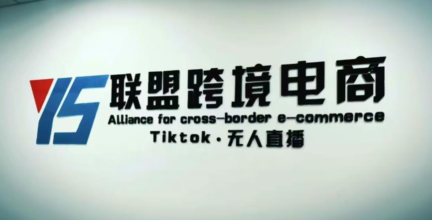 YS联盟·Tiktok无人直播，不出镜不剪辑不拍摄不发货无售后的跨境短视频躺赚玩法-买得值资源库