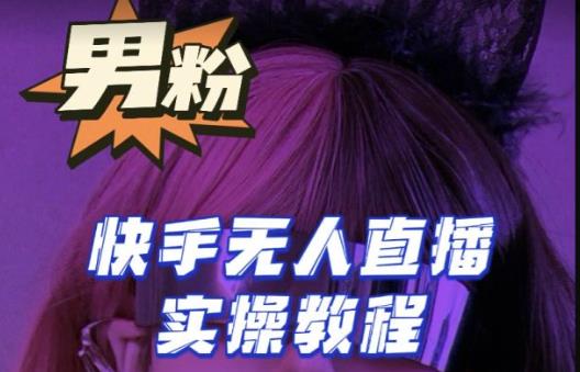 【男粉落地项目】零基础玩转男粉快手无人直播月入3w+，2023快手无人直播实操教程-买得值资源库