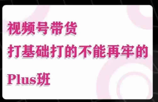 大播汇·视频号带货Puls班，视频号底层逻辑，起号自然流鱼塘等玩法-买得值资源库