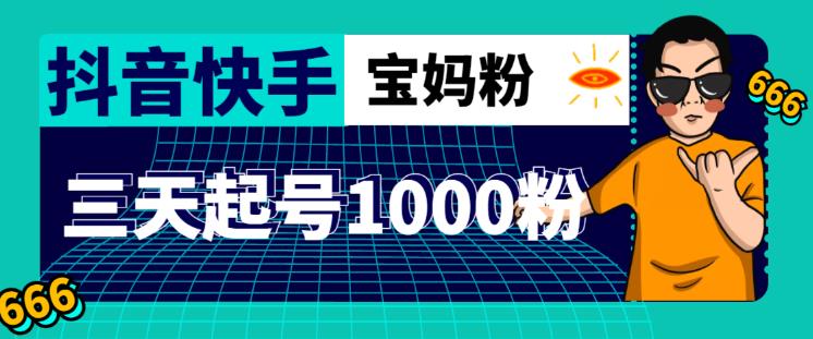 抖音快手三天起号涨粉1000宝妈粉丝的核心方法【详细玩法教程】-买得值资源库