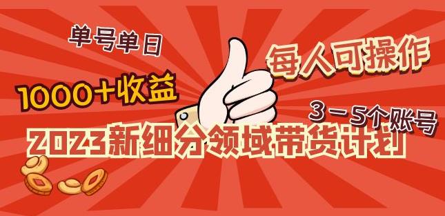 2023新细分领域带货计划：单号单日1000+收益不难，每人可操作3-5个账号-买得值资源库