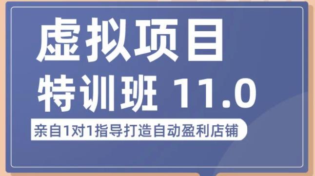 陆明明·虚拟项目特训班（10.0+11.0），0成本获取虚拟素材，0基础打造自动盈利店铺-买得值资源库
