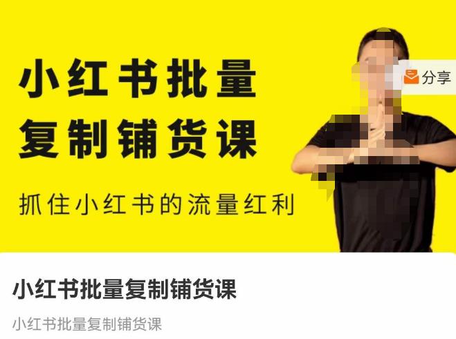张宾·小红书批量复制铺货课，抓住小红书的流量红利 （更新2023年2月）-买得值资源库
