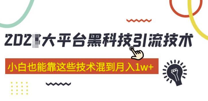 大平台黑科技引流技术，小白也能靠这些技术混到月入1w+(2022年的课程）-买得值资源库