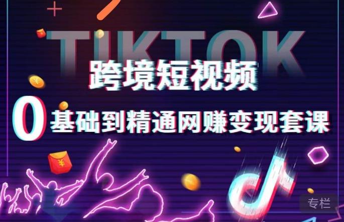 跨境短视频TIKTOK 0基础到精通网赚变现套课，跨境短视频独立站带货变现技巧-买得值资源库