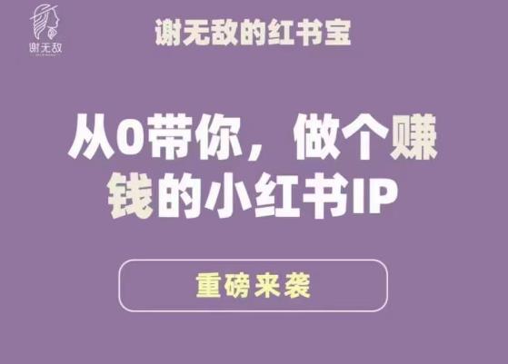 谢无敌·小红书运营大宝典，从0带你做个赚钱的小红书IP-买得值资源库