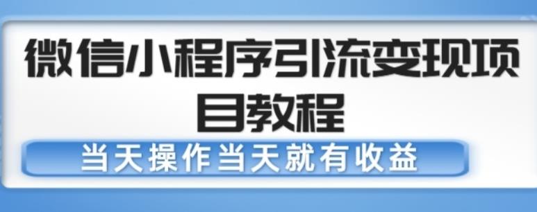 微信小程序引流变现项目教程，当天操作当天就有收益，变现不再是难事-买得值资源库