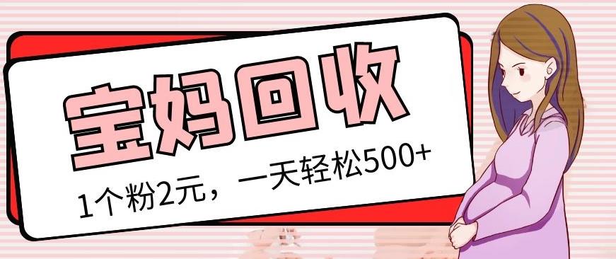 最新宝妈粉回收变现计划及胎教音乐高端变现玩法全套教程！（非老玩法）-买得值资源库