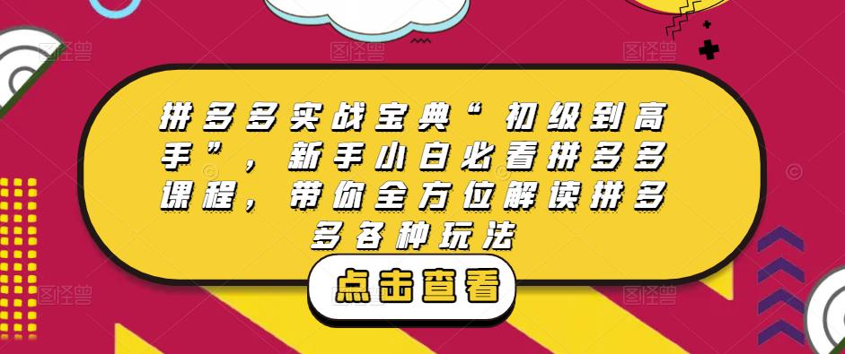 拼多多实战宝典“初级到高手”，新手小白必看拼多多课程，带你全方位解读拼多多各种玩法-买得值资源库