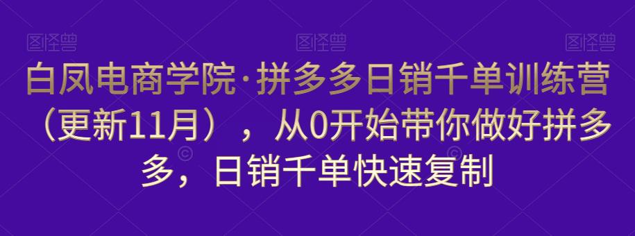 白凤电商学院·拼多多日销千单训练营，从0开始带你做好拼多多，日销千单快速复制（更新知2023年3月）-买得值资源库