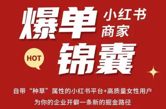 无畏·小红书商家爆单锦囊，掌握小红书各大规则，快速精准抢占行业和市场-买得值资源库
