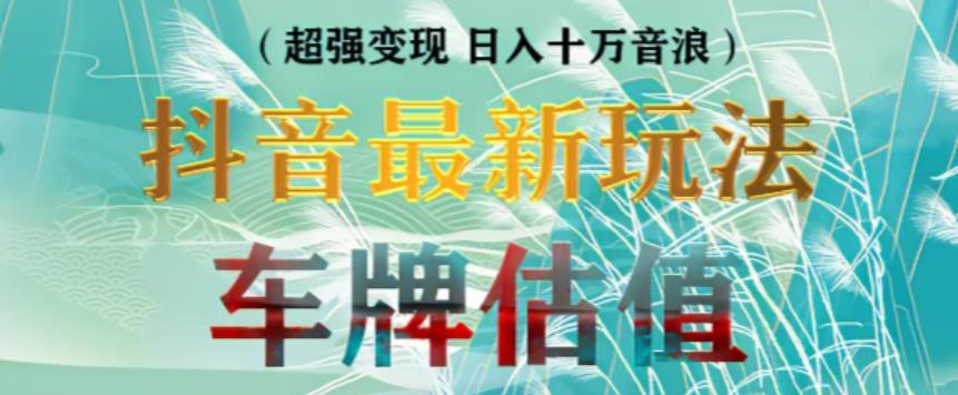 抖音最新无人直播变现直播车牌估值玩法项目，轻松日赚几百+【详细玩法教程】-买得值资源库