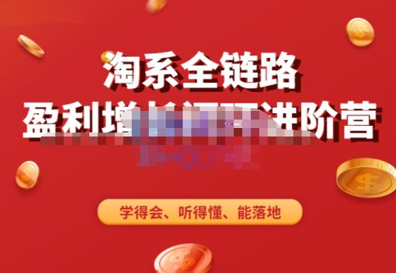 淘系全链路盈利增长闭环进阶营，融合全店动销，学得会、听得懂、能落地！-买得值资源库