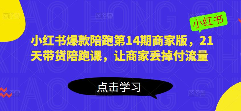 小红书爆款陪跑第14期商家版，21天带货陪跑课，让商家丢掉付流量-买得值资源库