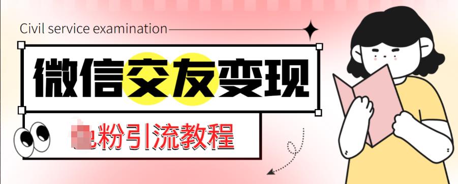 微信交友变现项目，吸引全网LSP男粉精准变现，小白也能轻松上手，日入500+-买得值资源库