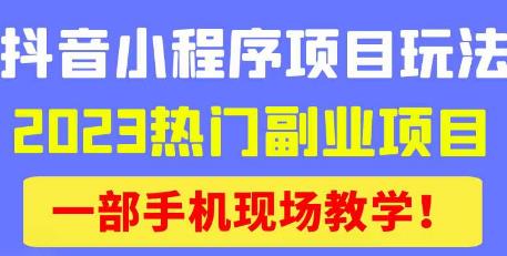 抖音小程序9.0新技巧，2023热门副业项目，动动手指轻松变现-买得值资源库